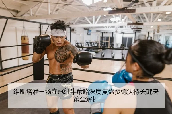 维斯塔潘主场夺冠红牛策略深度复盘赞德沃特关键决策全解析